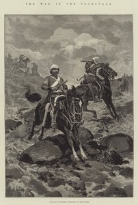 الحرب في ترانسفال